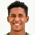 Henrique Freitas Alves