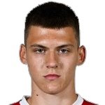 S. MitroviÄ