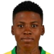 N. Mthandi