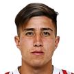 N. Fernandez
